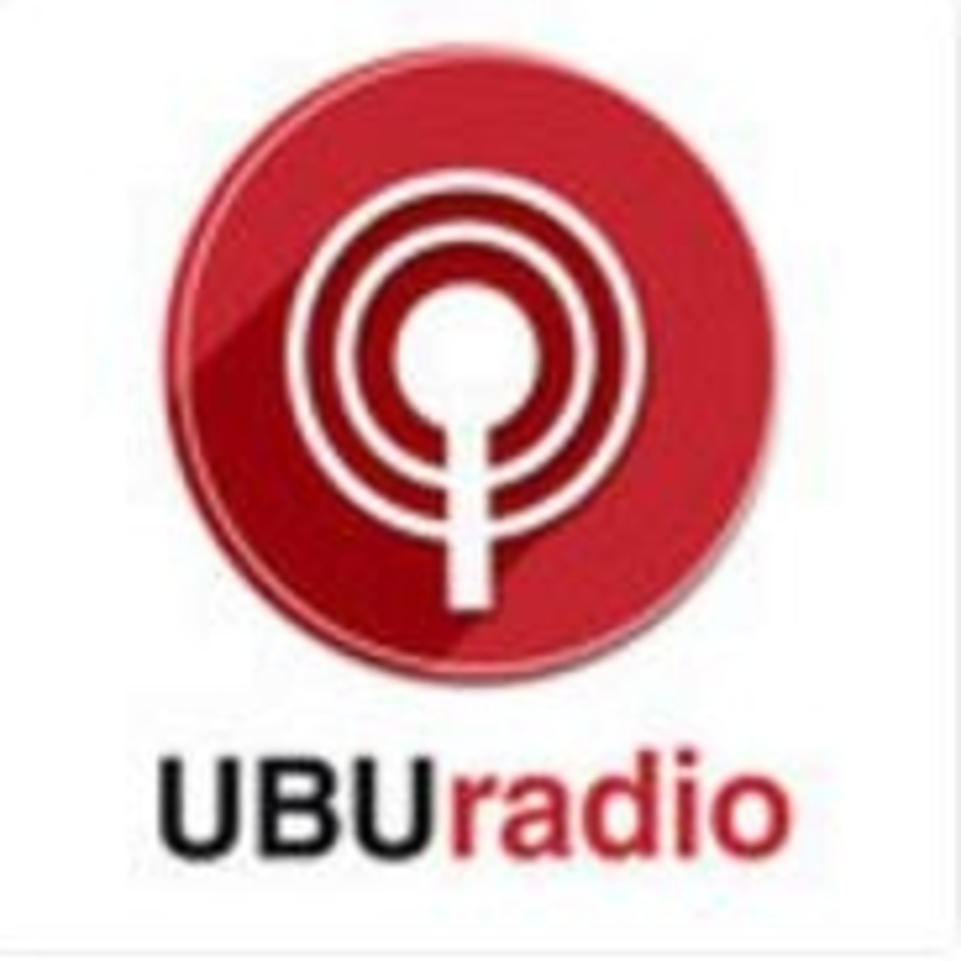 Cursos de Verano UBU 2016