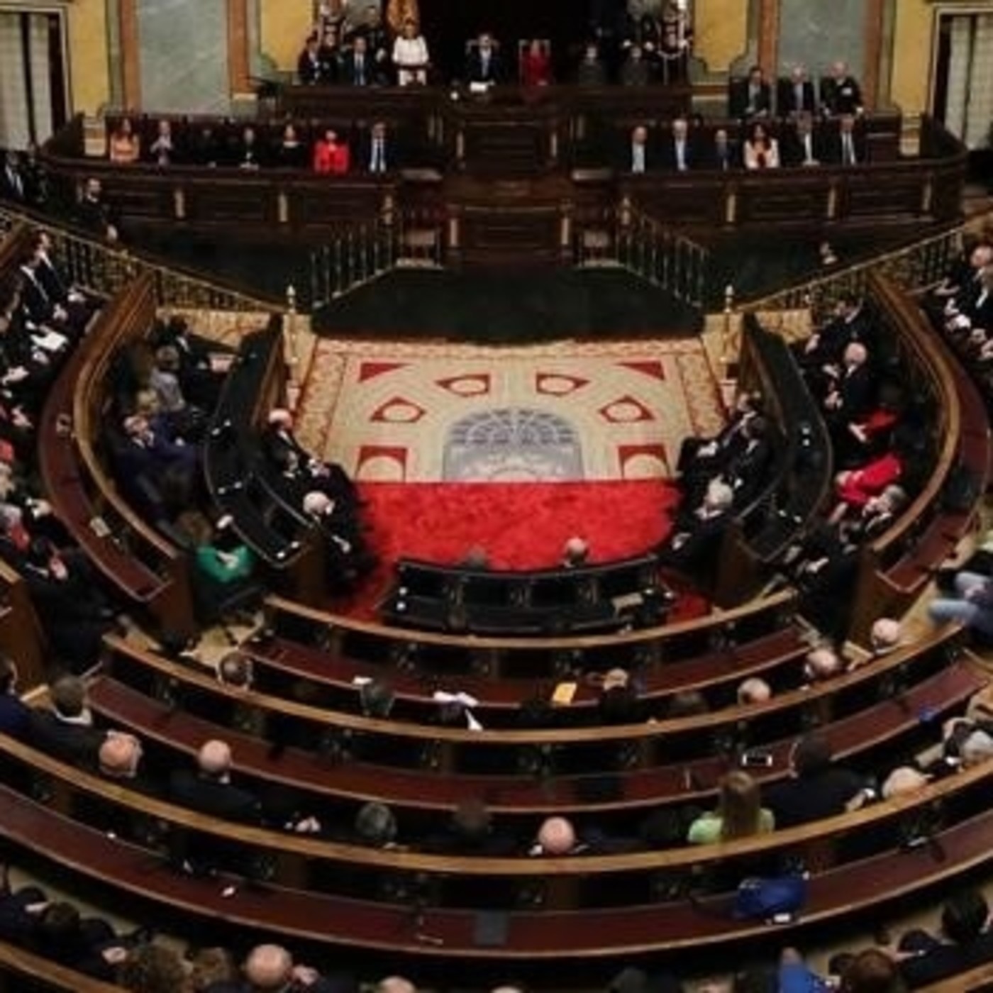 Youth into politics