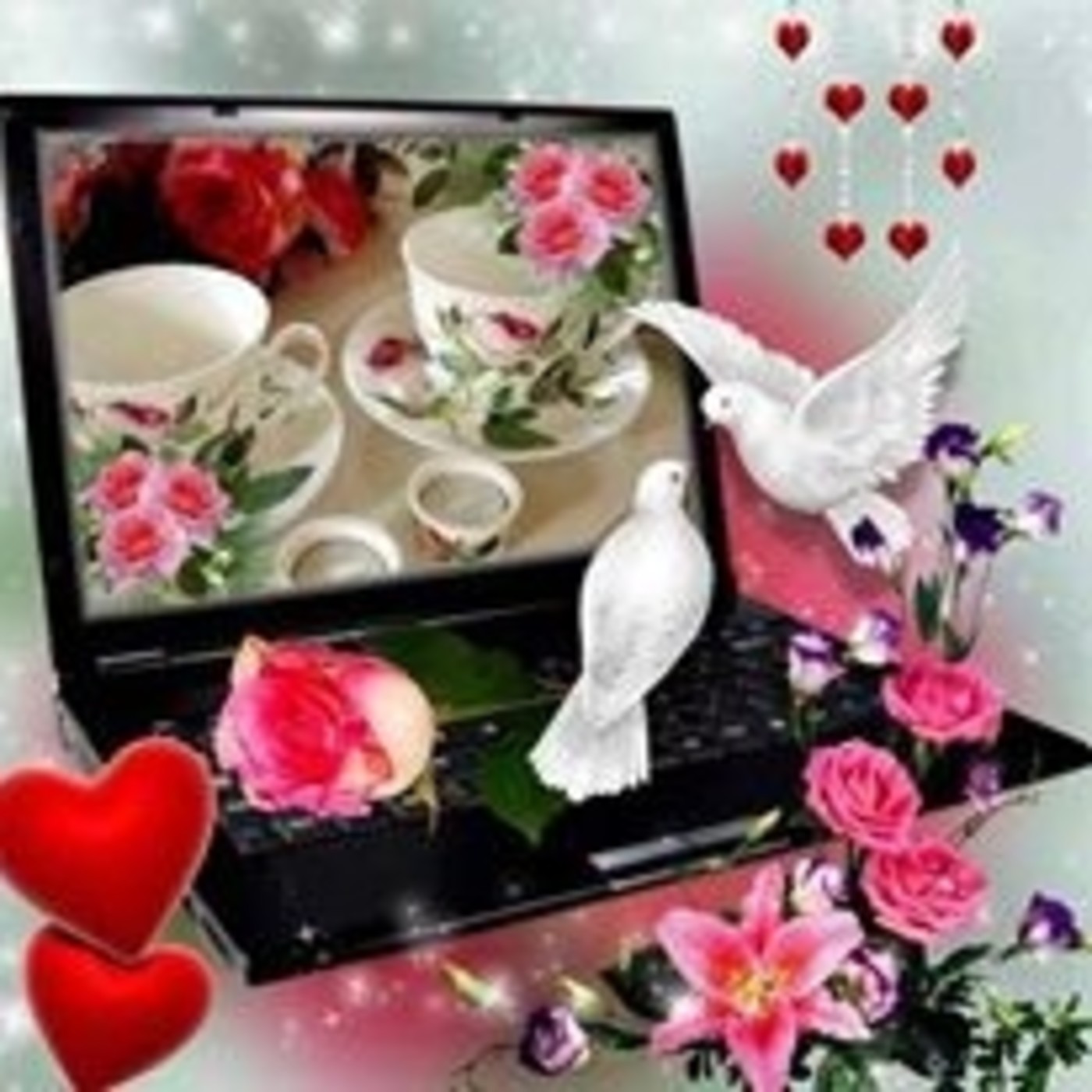 Editor de Imagenes Vanessa Bissessar 