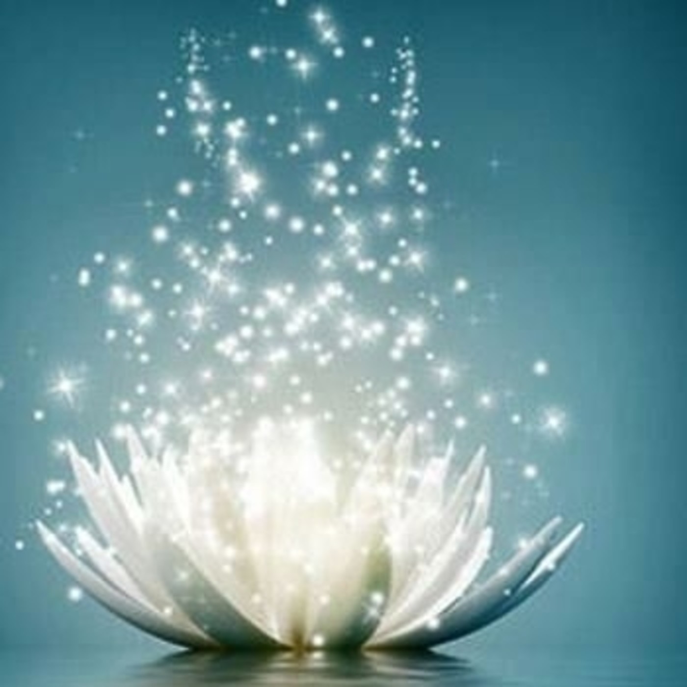 Programa Seres de Luz 27-07-2019