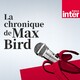 La beauté masculine chez les oiseaux