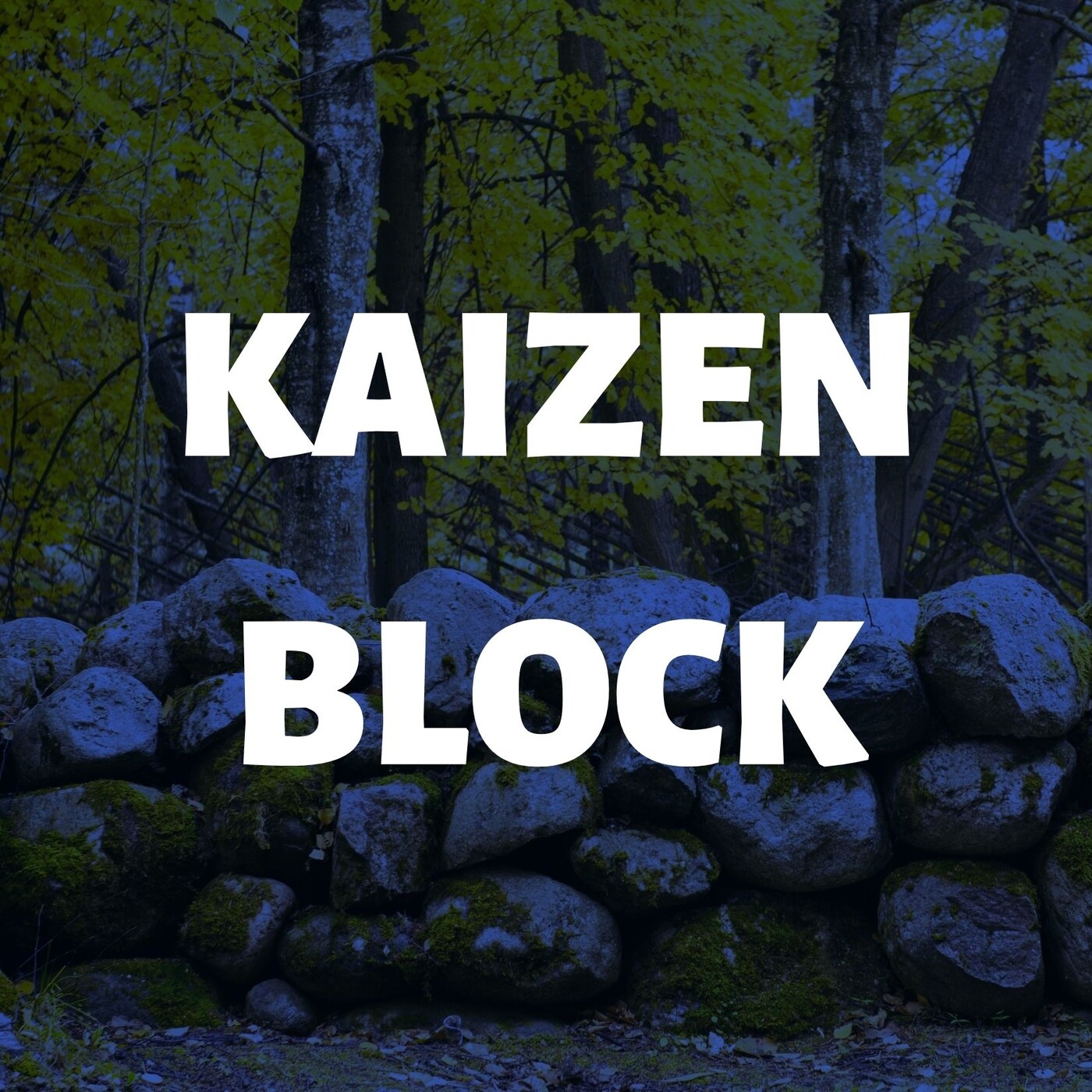 Kaizen block