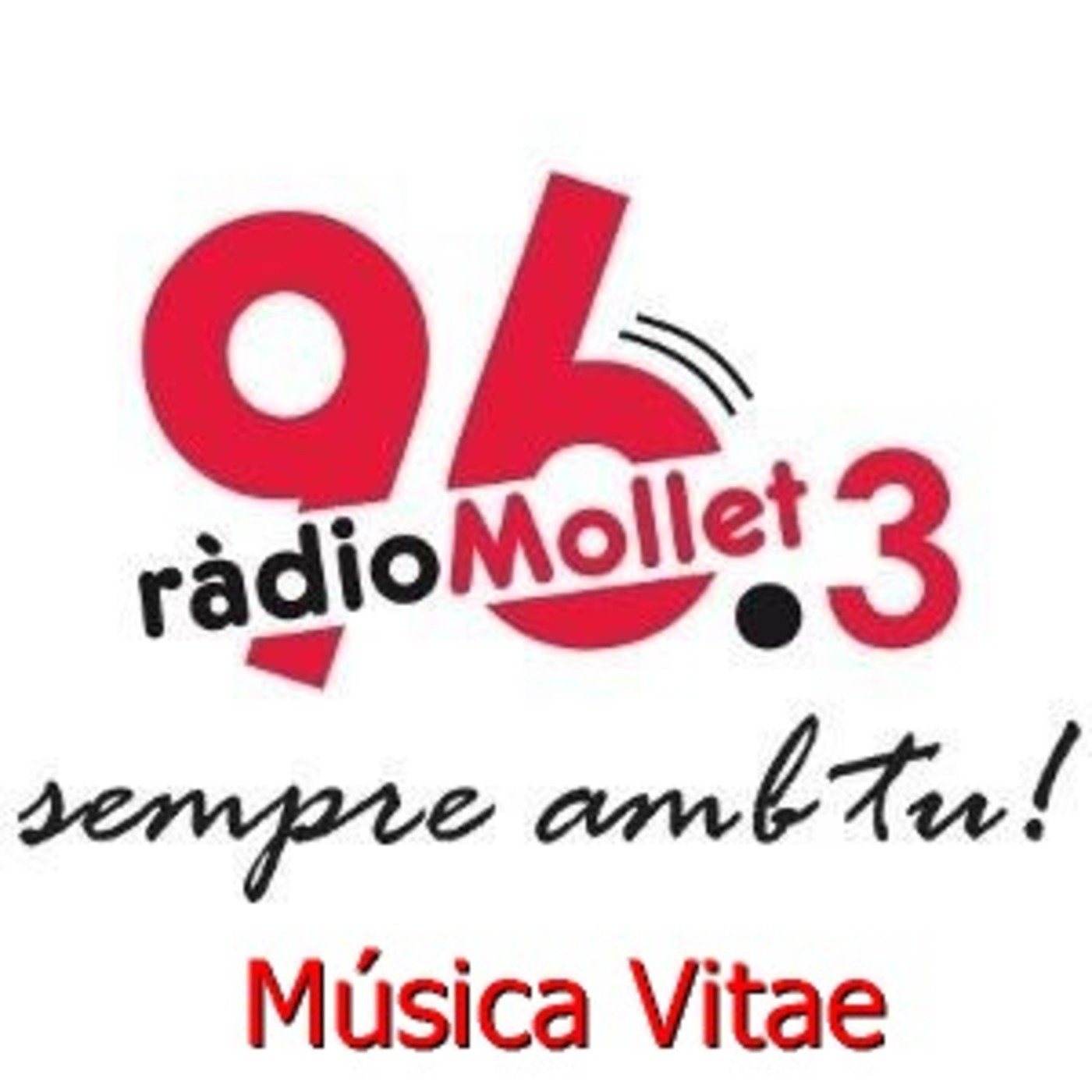 Musica vitae