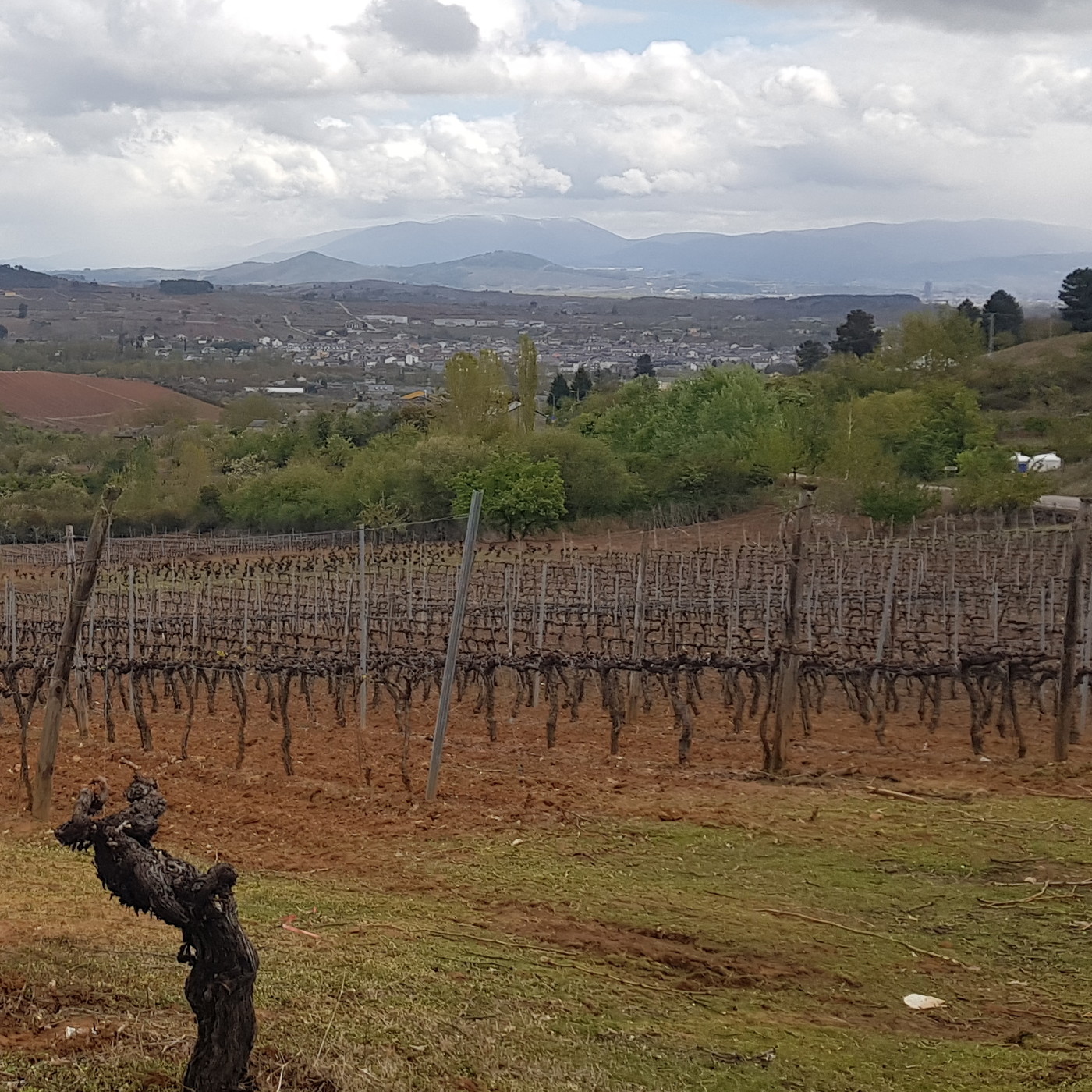 Don Ariel y el camino