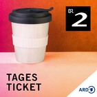 230 Volt Stromschläge auf Anweisung - warum lassen wir uns so leicht manipulieren?