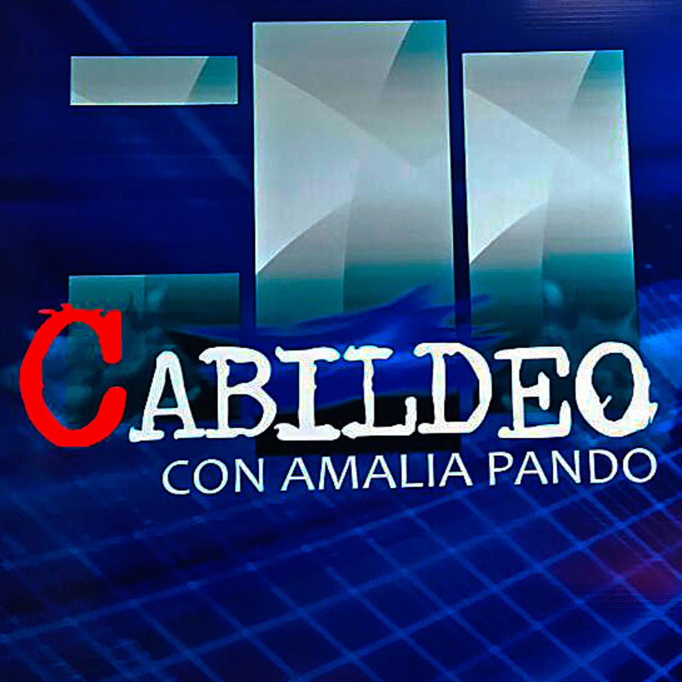 AmaliaPando Cabildeo 1