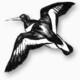 Early Birds and Spring Overshoots