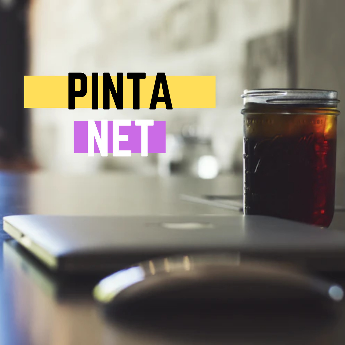 Pinta-NET