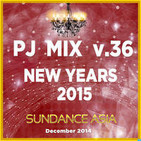 PJ Mix - NEW YEARS 2015 (v.36)