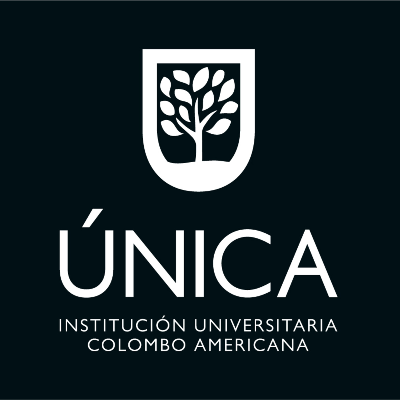 Boletín Informativo - ÚNICA