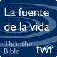 Números 27:6-28:8