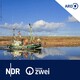 Snorre: Een Nannskerl