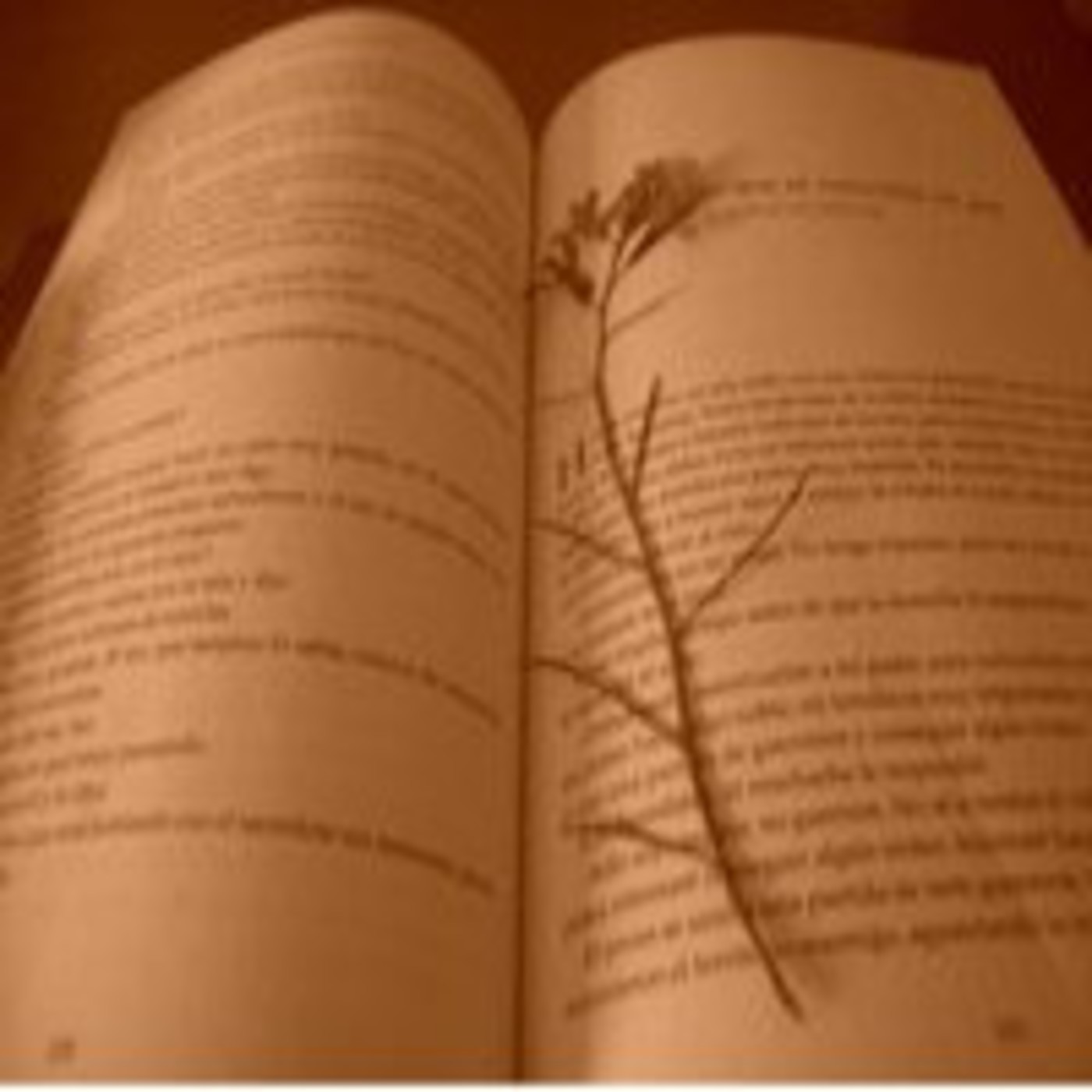 Podcast Lo que alguien escribió un día