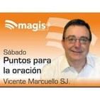 Viernes 10 noviembre de 2017 - Puntos para la oración con Vicente Marcuello