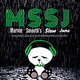 MSSJ - Pilot