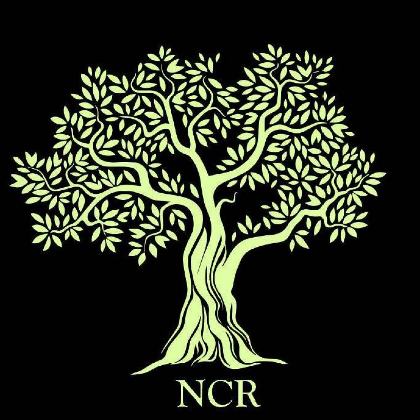 Podcast de Noticias Campo Real