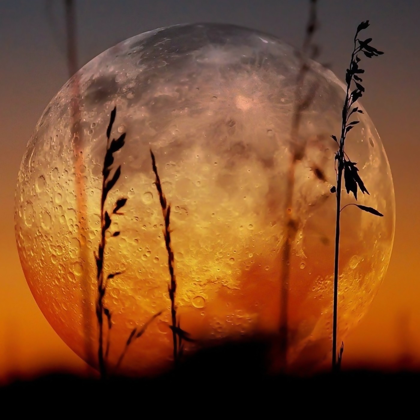 Bendición Mundial de útero