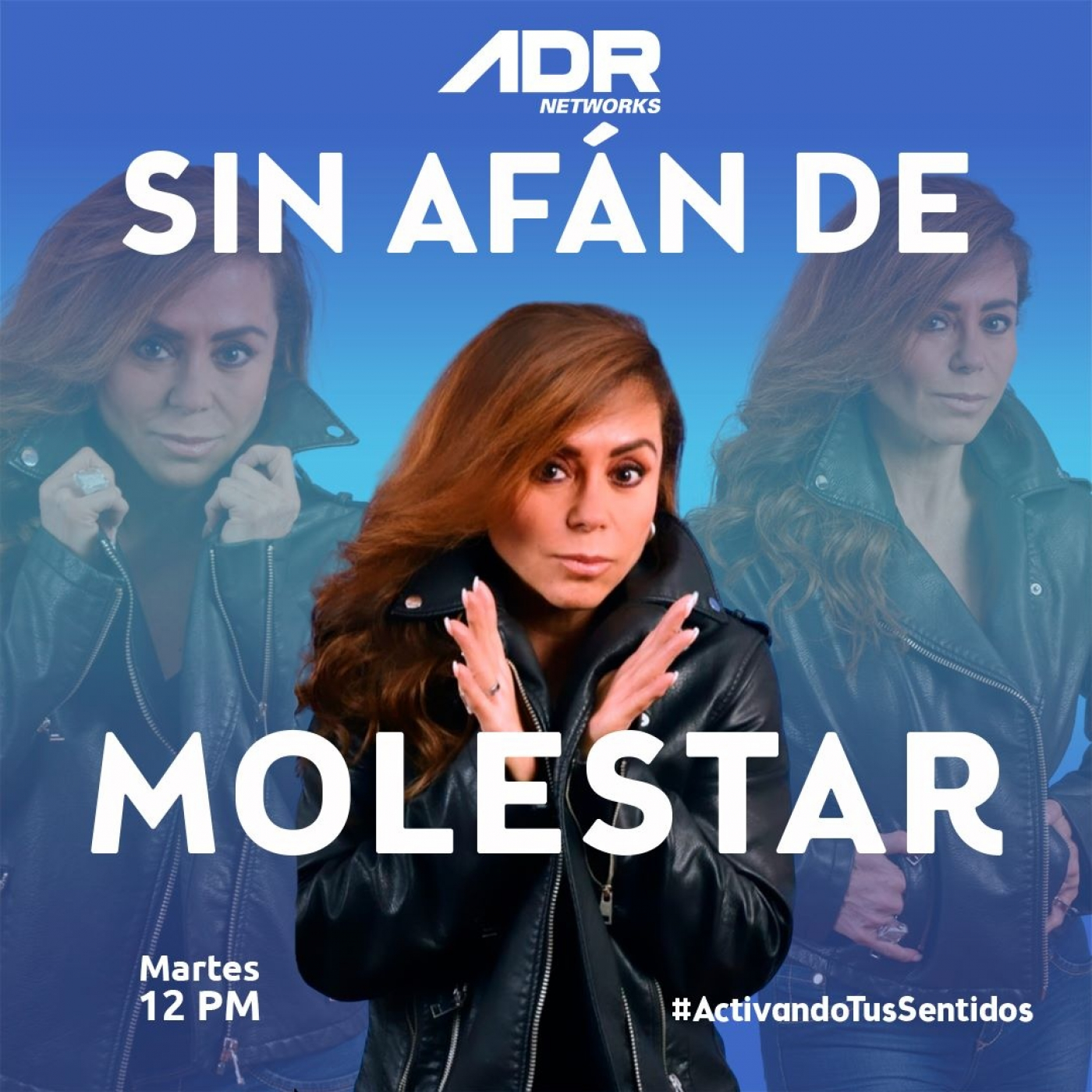 SIN AFÁN DE MOLESTAR