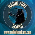 Doctor Who: Radio Free Skaro