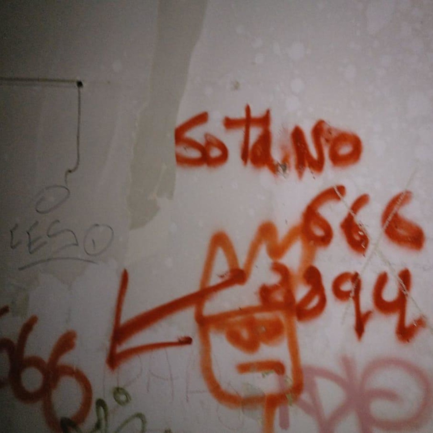 Exploraciones de misterio