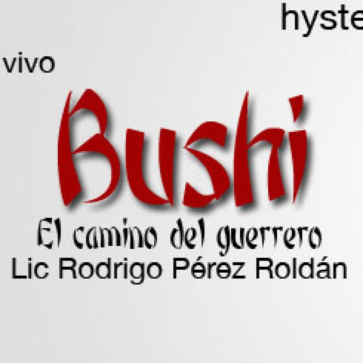 Bushi, El camino del guerrero