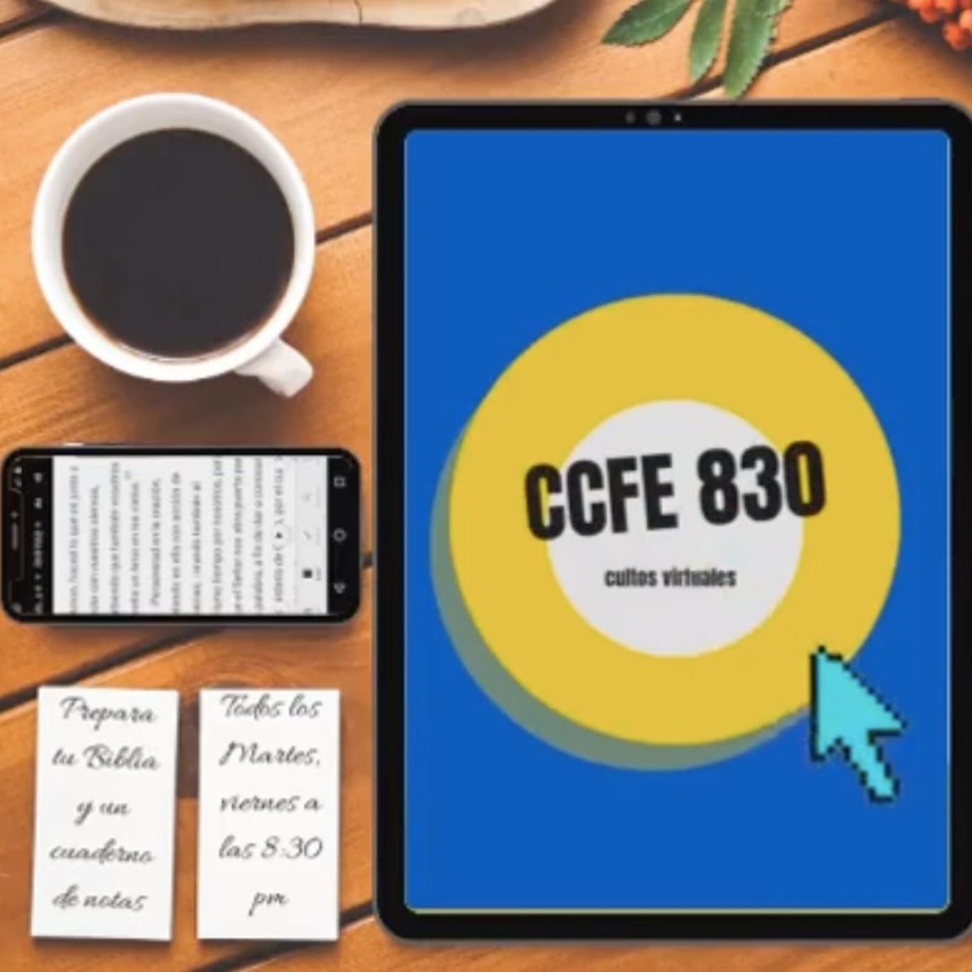 CCFE 830 cover