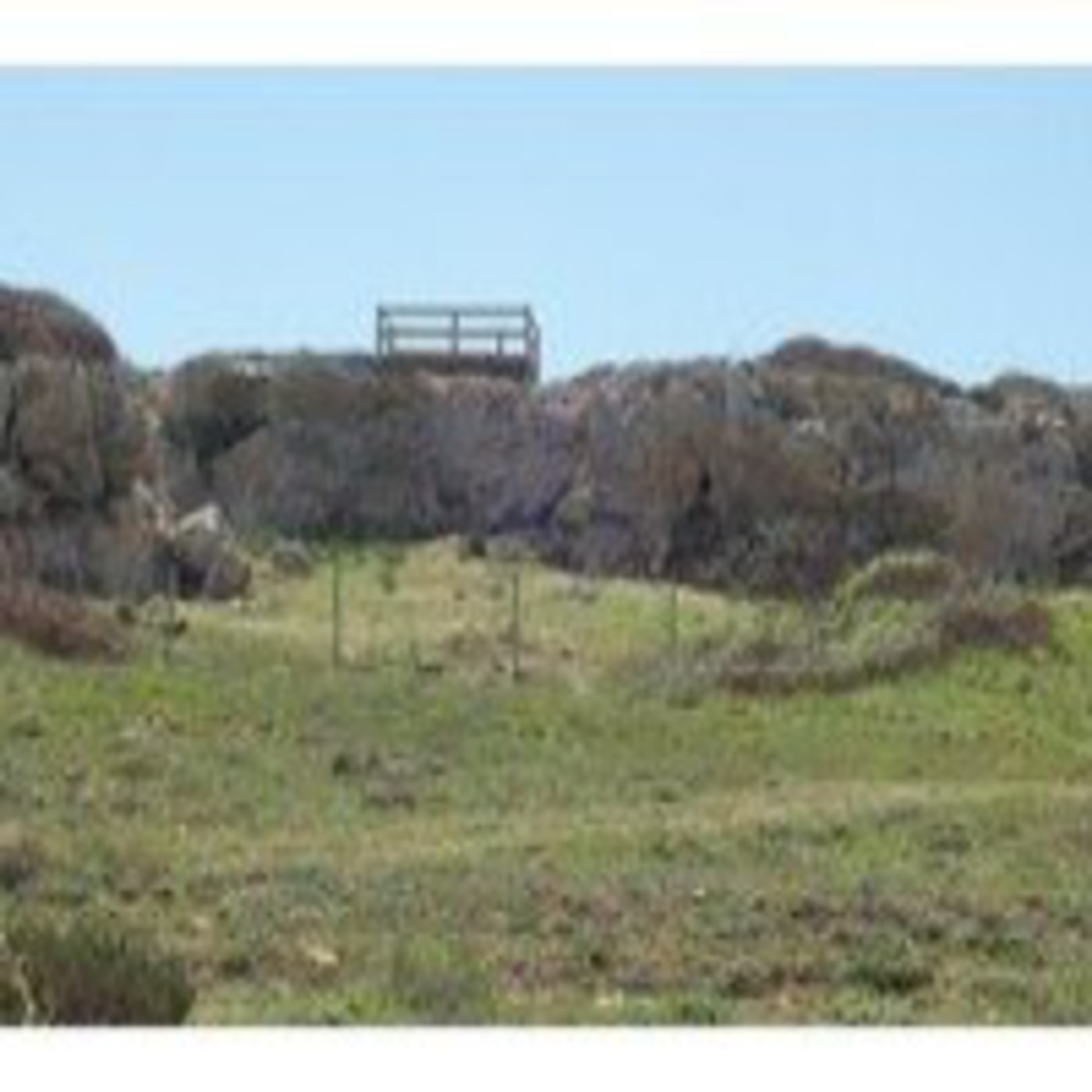 Podcast MUSICA RELAX