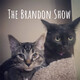 The Brandon Show (Trailer)