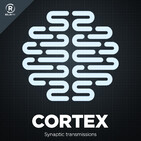 Cortex 81: The American Meme