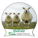 Fluke control this autumn