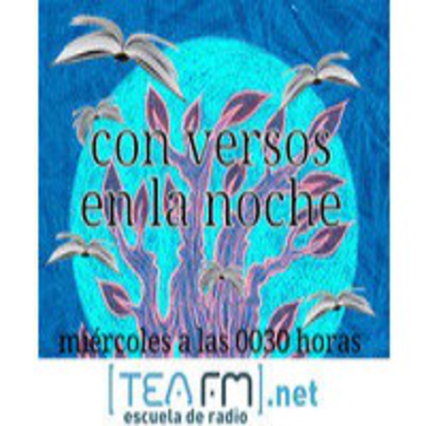 Con Versos en la noche