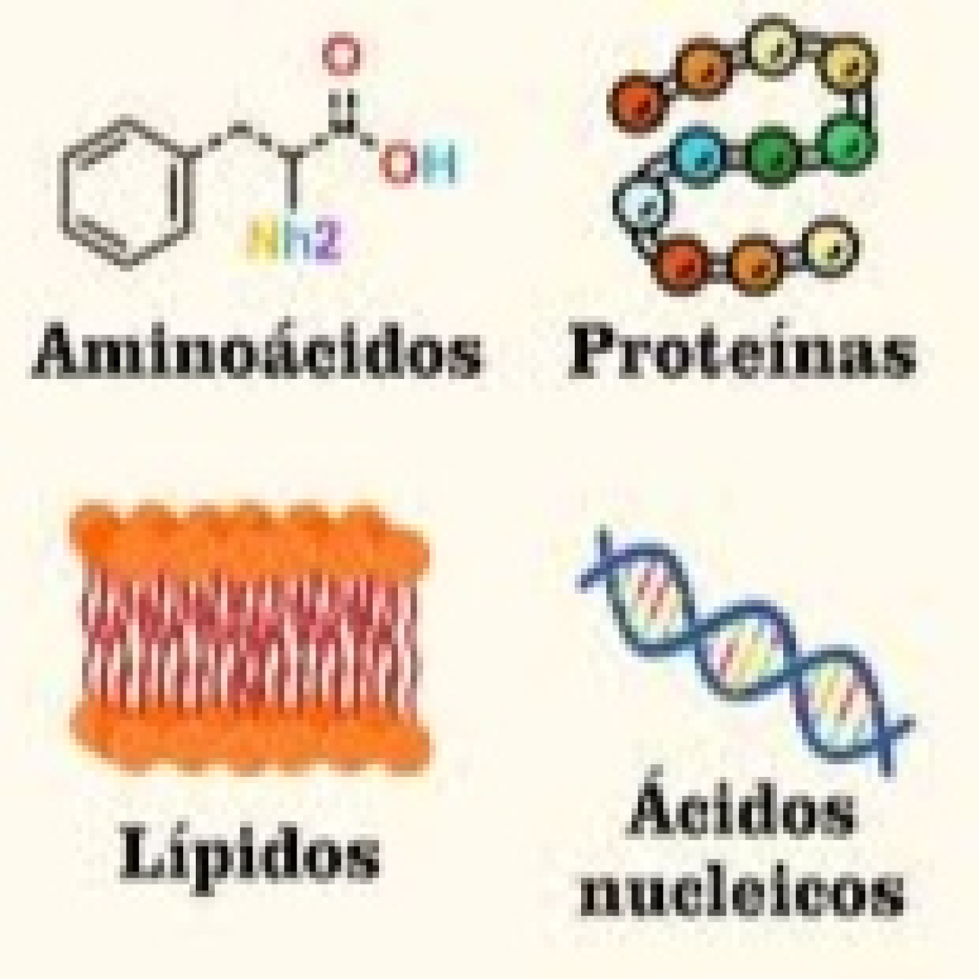 Bioquímica
