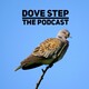 Dove Step podcast 22