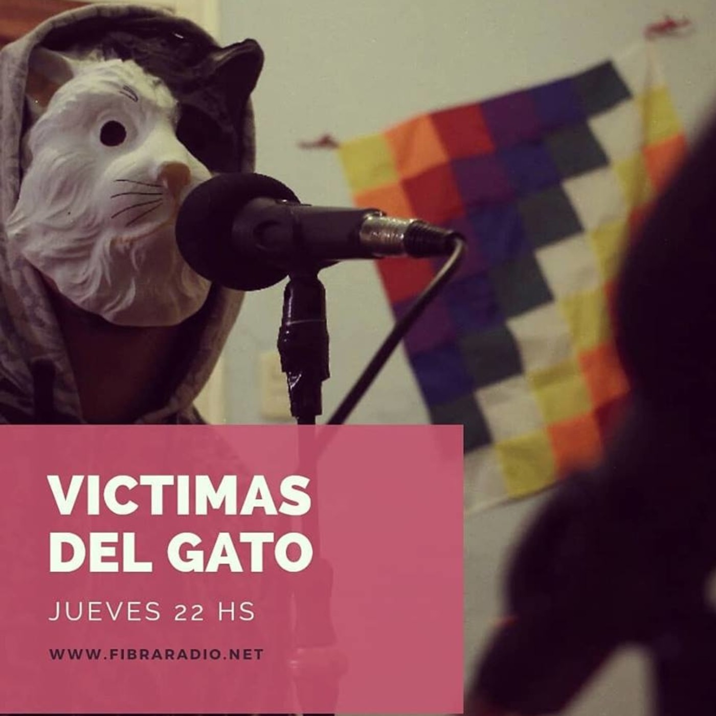 Victimas del Gato