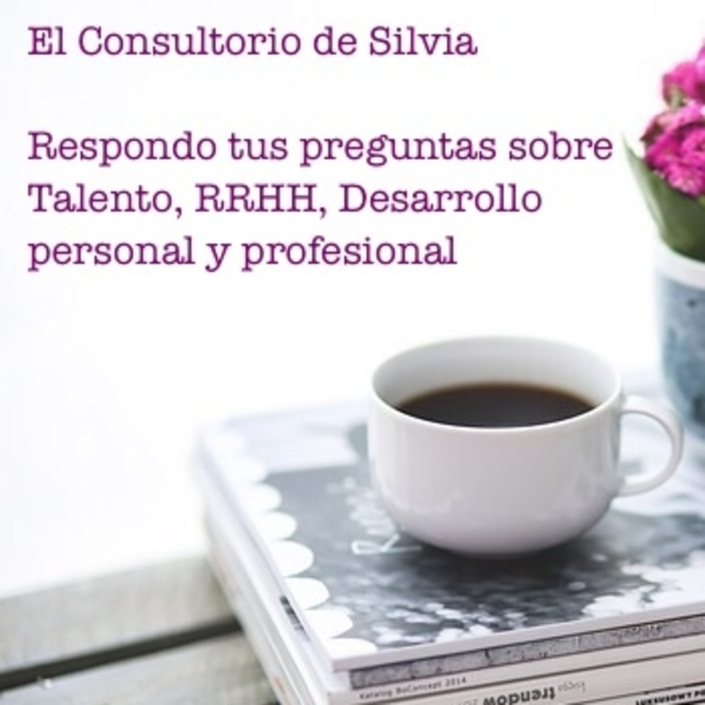 El Consultorio de Silvia, Episodio 8 ¿Qué hacer para que un empleado vuelva a centrarse tras una pérdida?