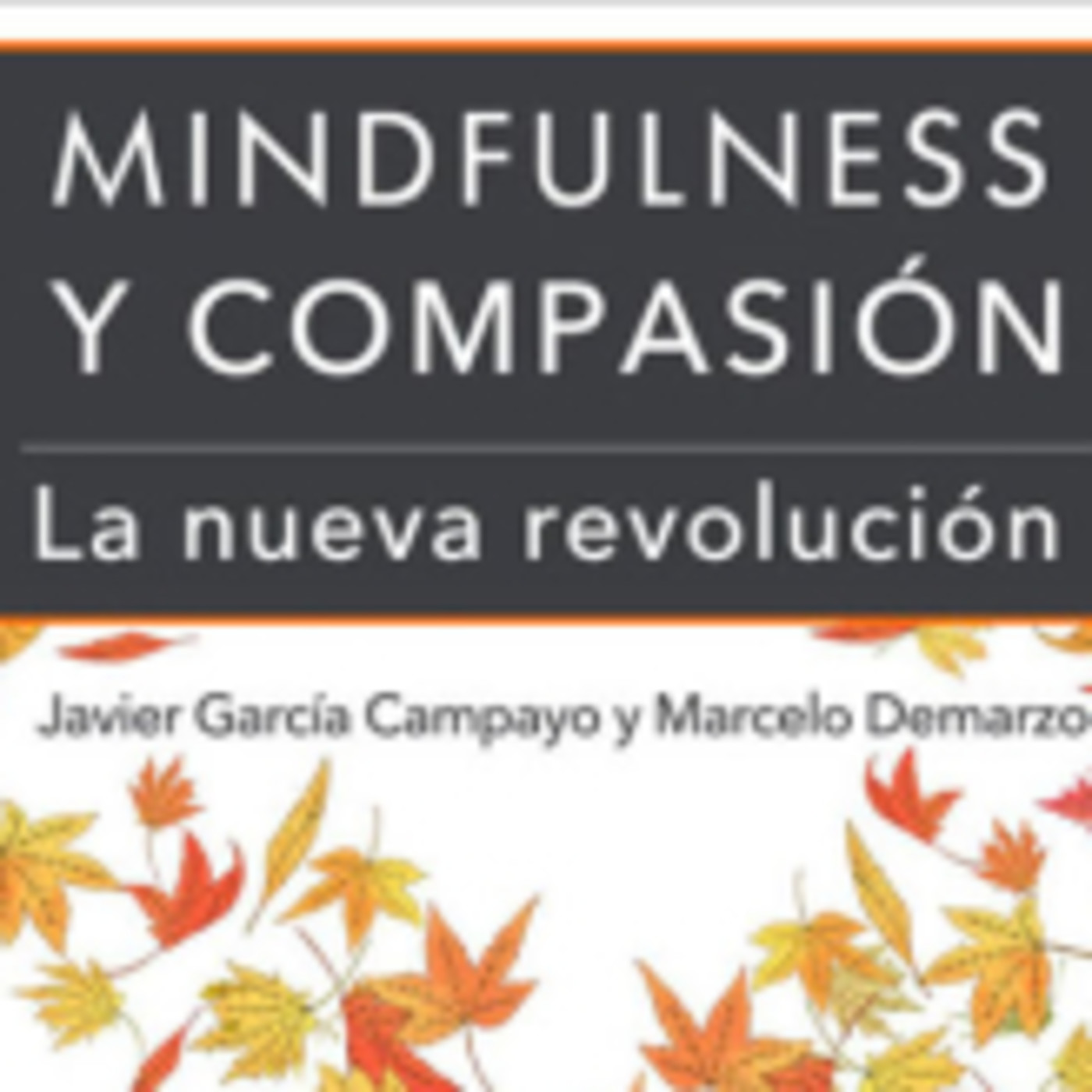 Compasión. Prácticas libro de J. García Campayo