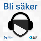 #031 Överbelastningsattacker (DDoS)