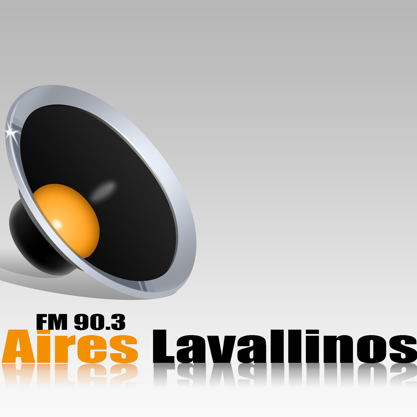 Programas de FM Aires Lavallinos