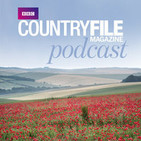 59. Delightful tales of red squirrels, sparrows and classic British countryside
