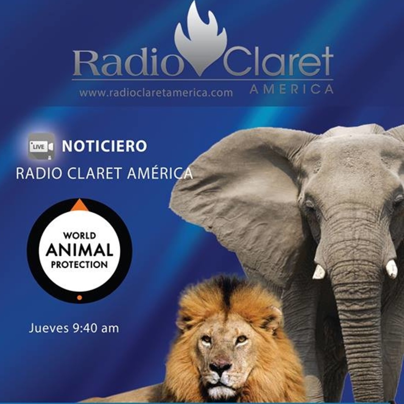 Protección Animal Mundial