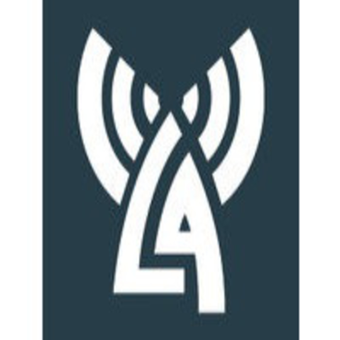 34° programa 28/11