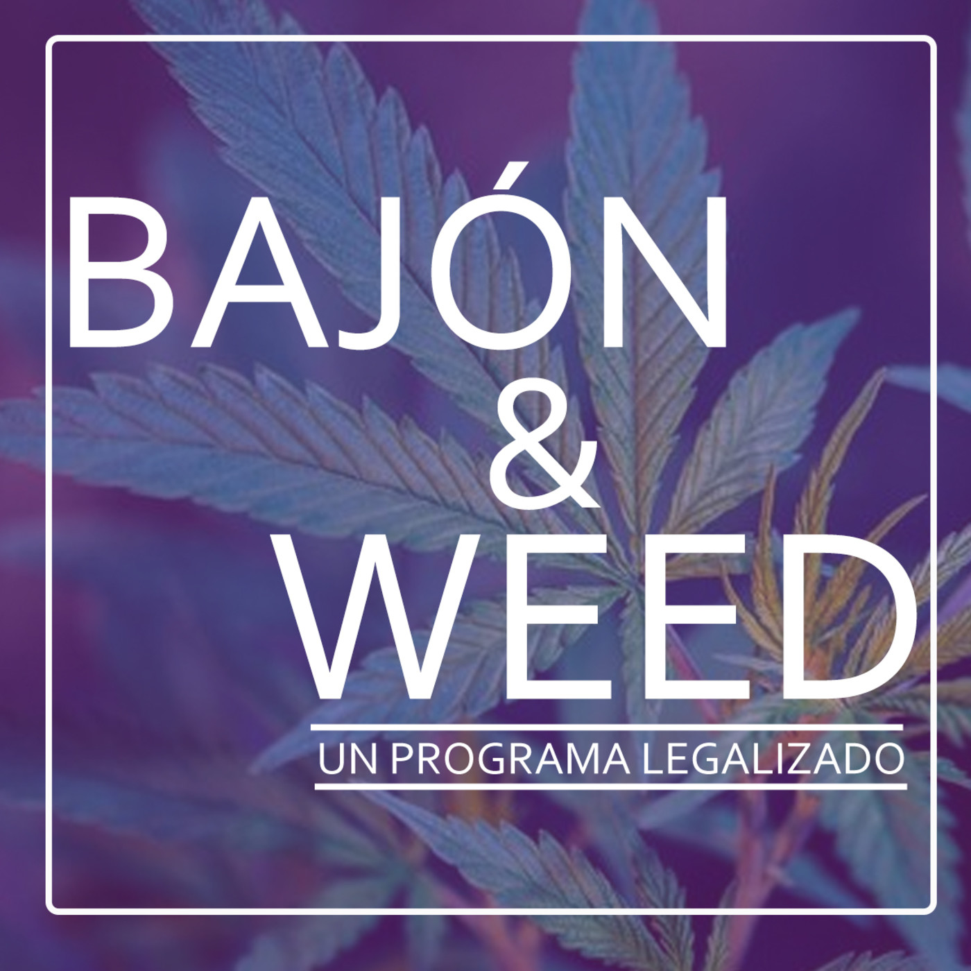 Bajon and Weed