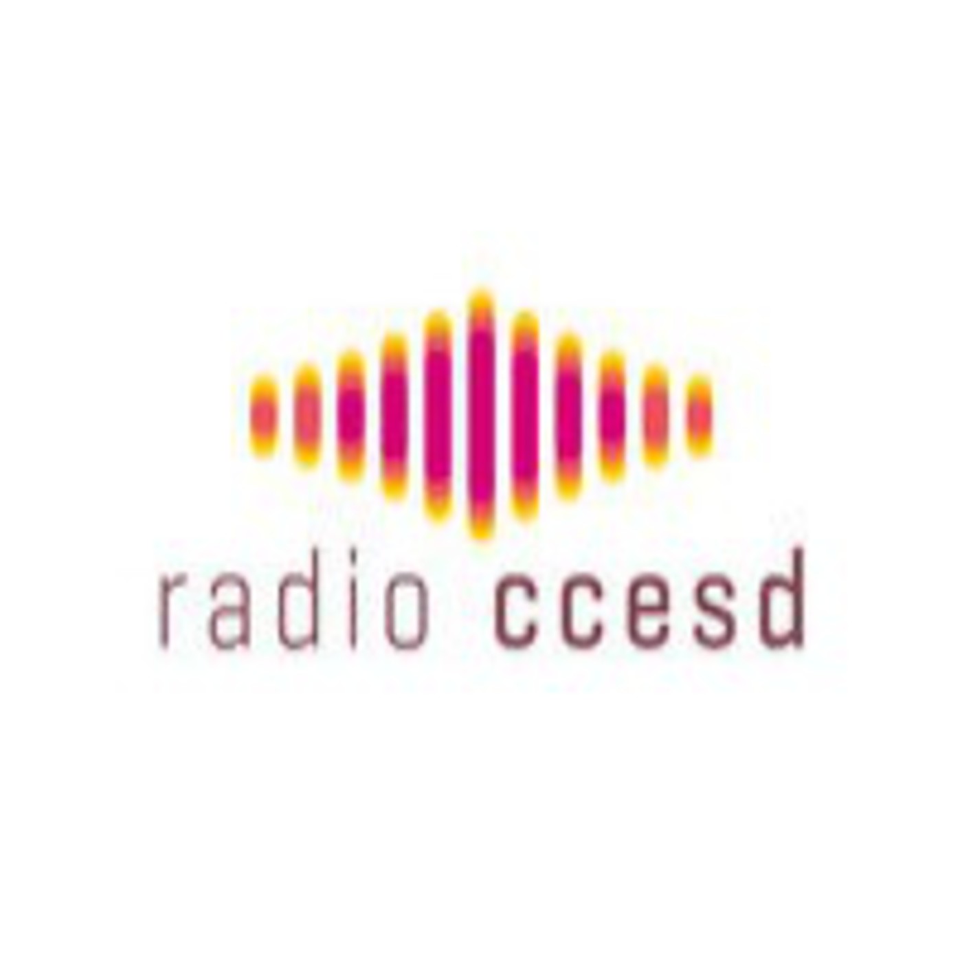 En Vivo desde el Centro - Kawe Calypso