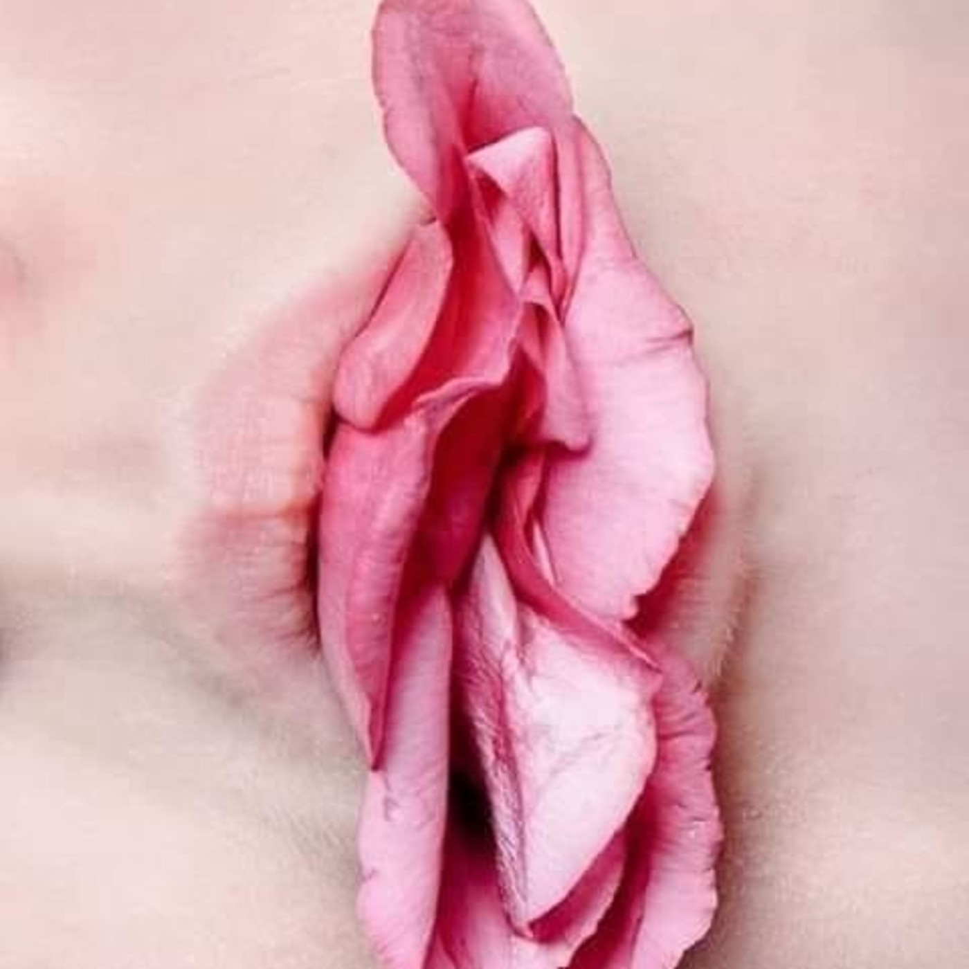 Maestra de sexualidad