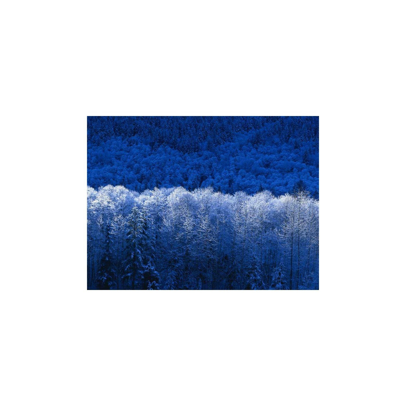 Podcast Prueba1Prueba1