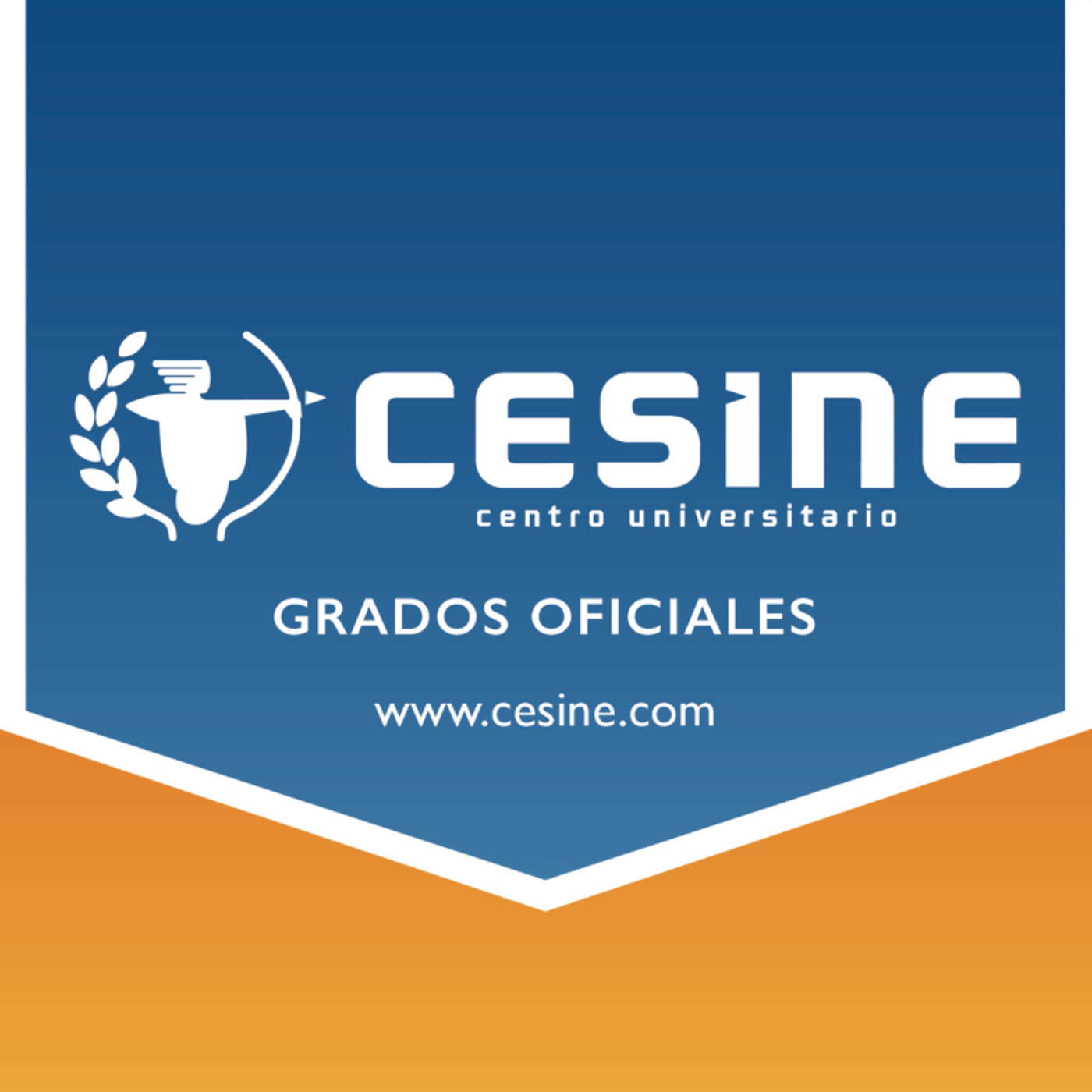CESINE EN EL AIRE