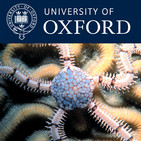 Lecture 6: Bioinspired Colloidal Assembly: From Photonics to Encryption