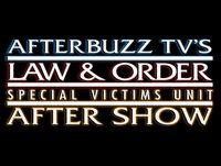'Plastic; Dear Ben' Season 20 Episodes 11 & 12 'Law & Order: SVU' Review