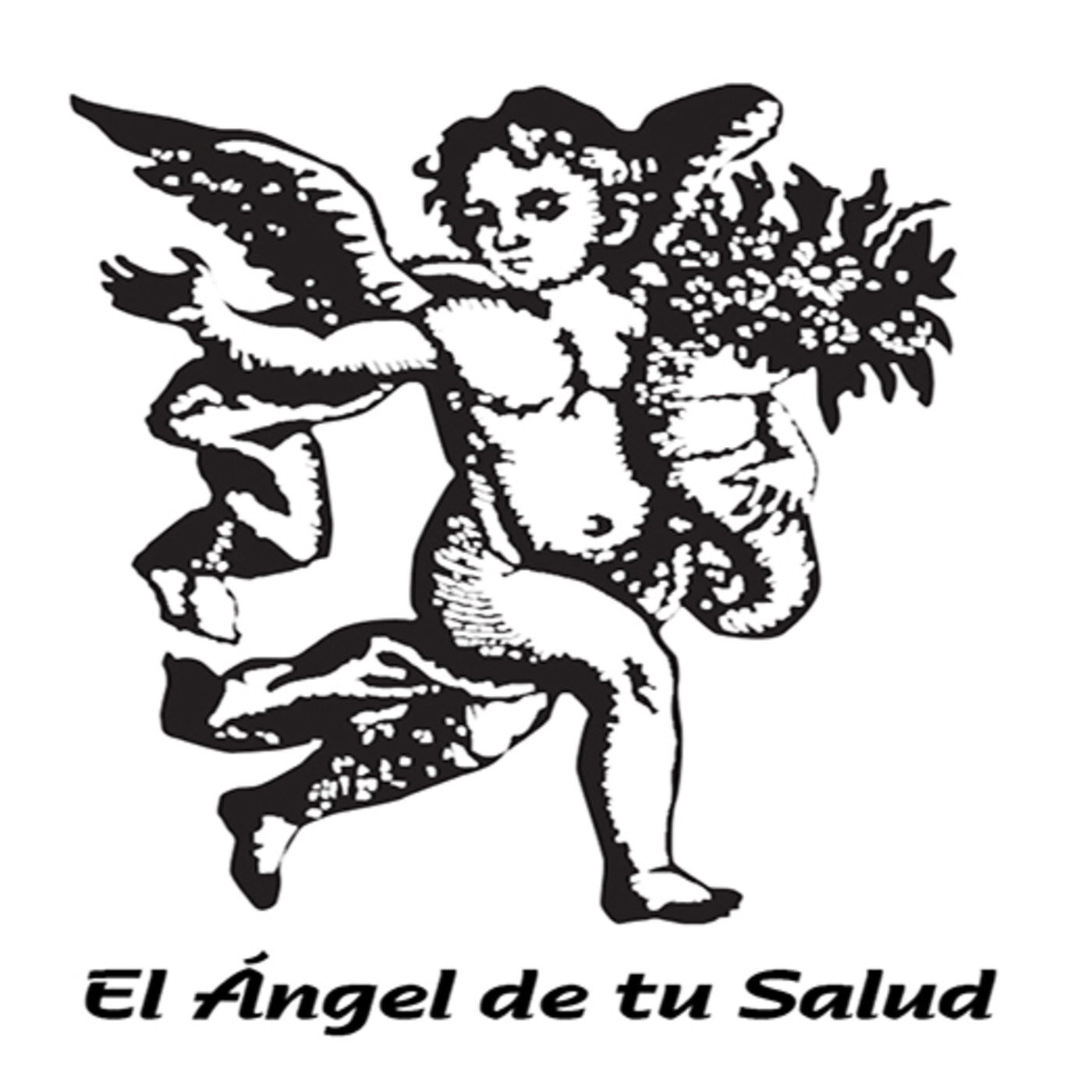 DESCARGAR EL ANGEL NUMERO DOCE DOWNLOAD DESCARGAR EL ANGEL NUMERO DOCE DOWNLOAD