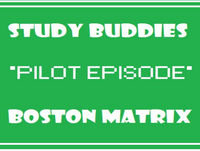 Study Buddies *PILOT* Boston Matrix- Business Studies